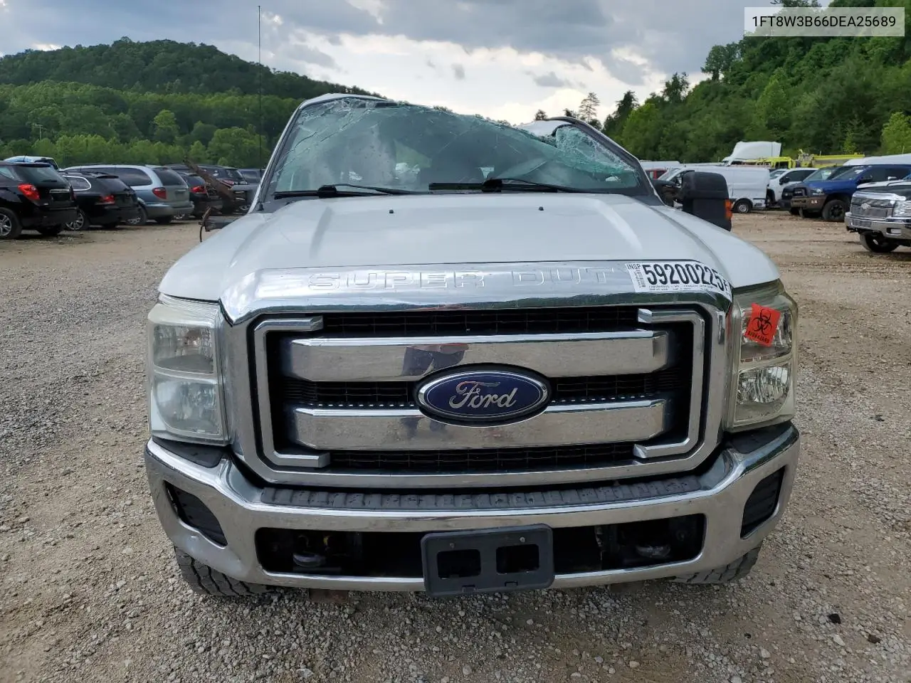 2013 Ford F350 Super Duty VIN: 1FT8W3B66DEA25689 Lot: 59200225