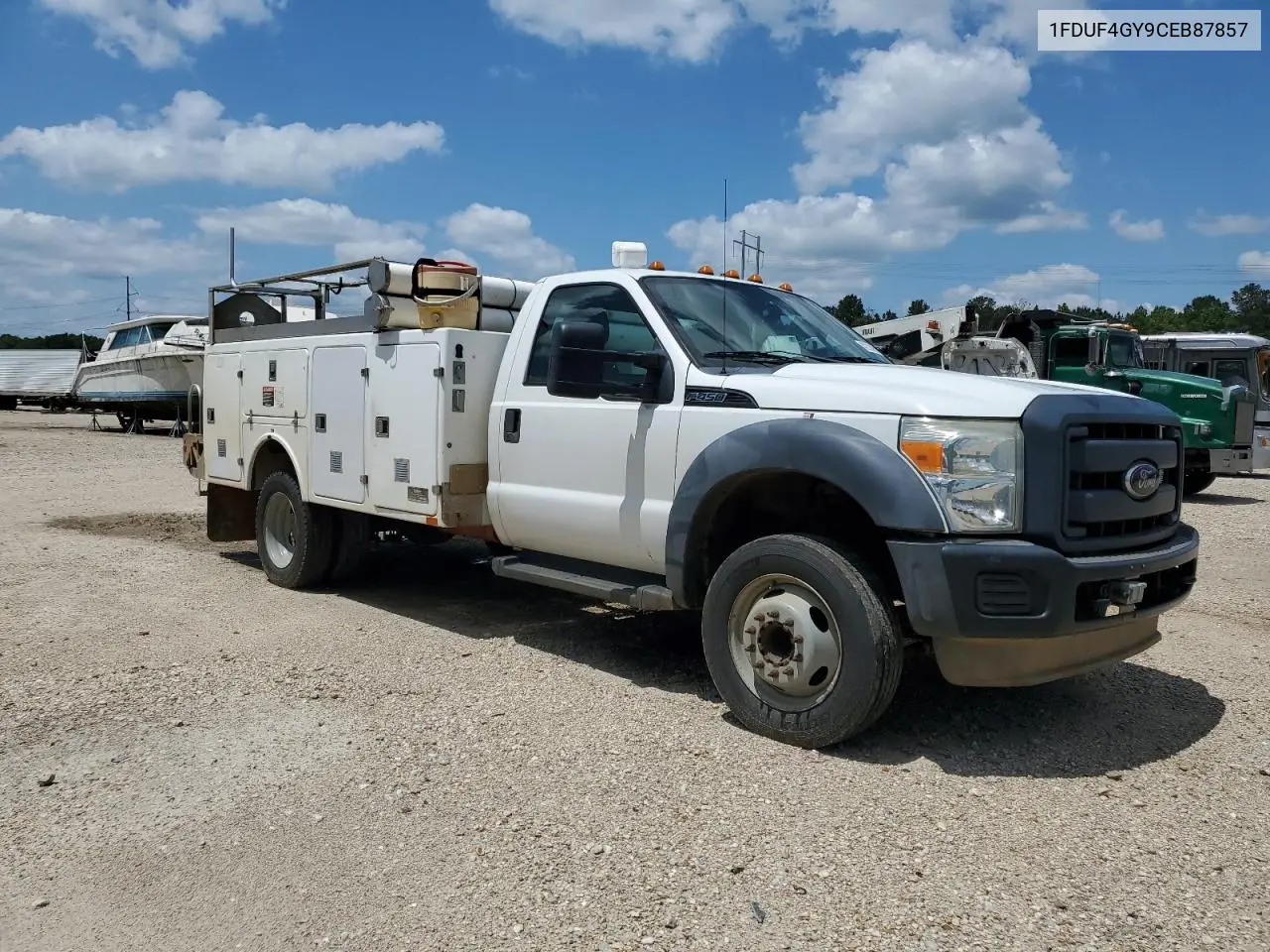 2012 Ford F450 Super Duty VIN: 1FDUF4GY9CEB87857 Lot: 56552075