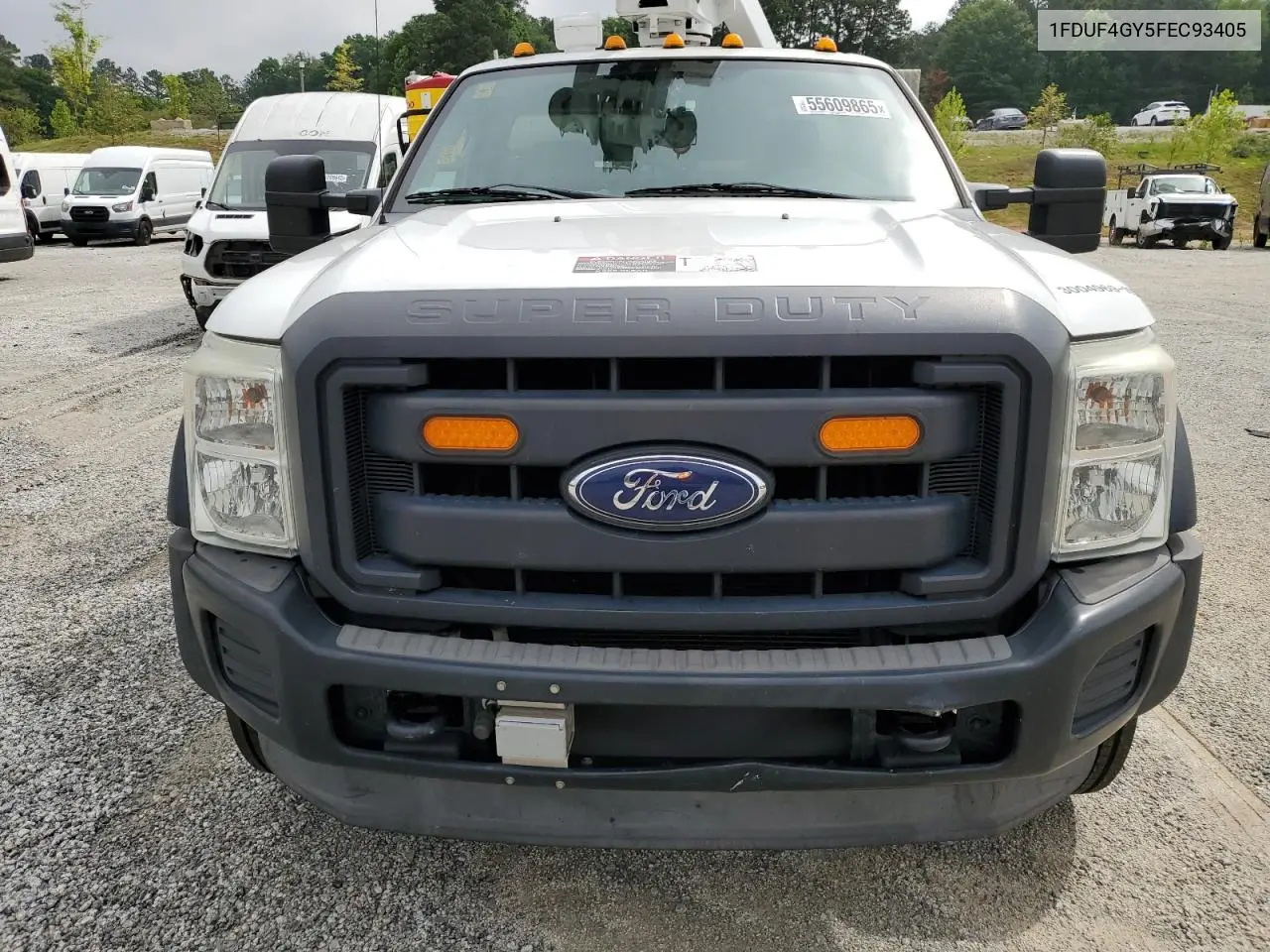 2015 Ford F450 Super Duty VIN: 1FDUF4GY5FEC93405 Lot: 55609865