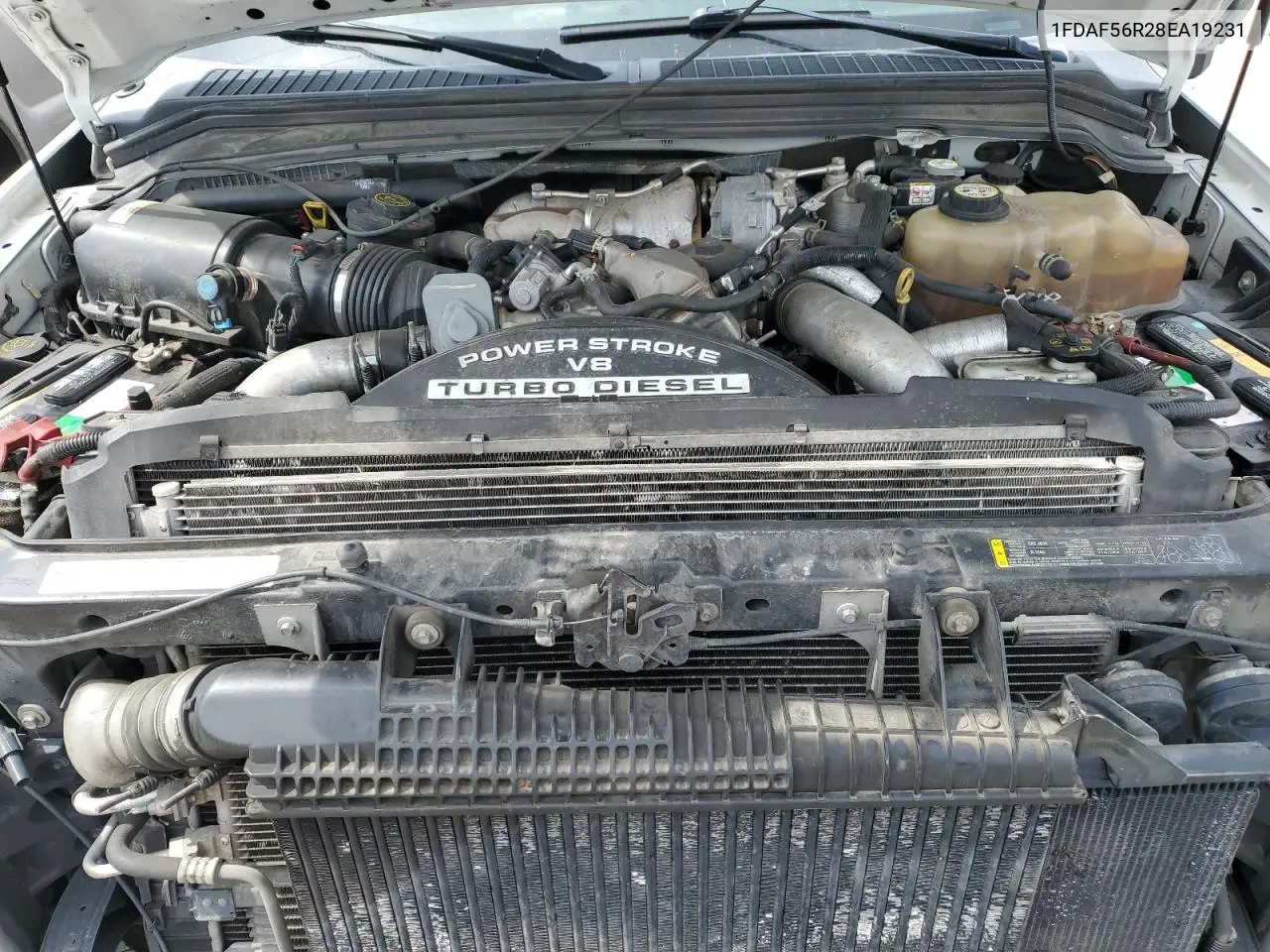 2008 Ford F550 Super Duty VIN: 1FDAF56R28EA19231 Lot: 62386455