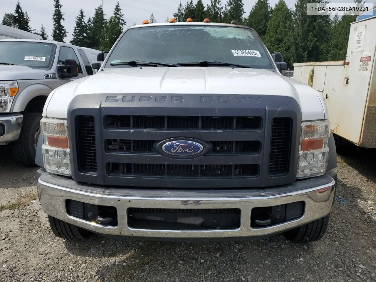 2008 Ford F550 Super Duty VIN: 1FDAF56R28EA19231 Lot: 62386455