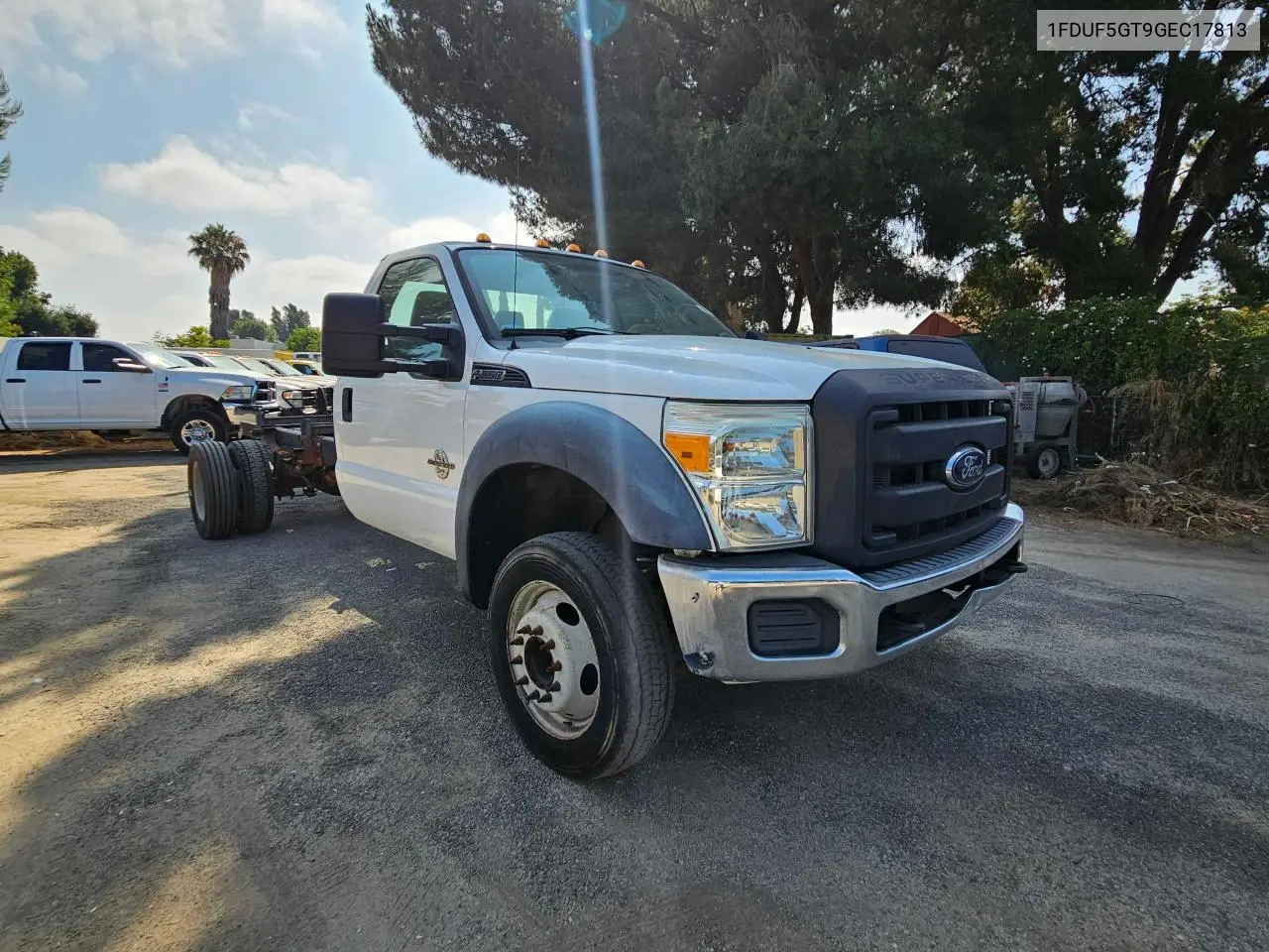 2016 Ford F550 Super Duty VIN: 1FDUF5GT9GEC17813 Lot: 65437935
