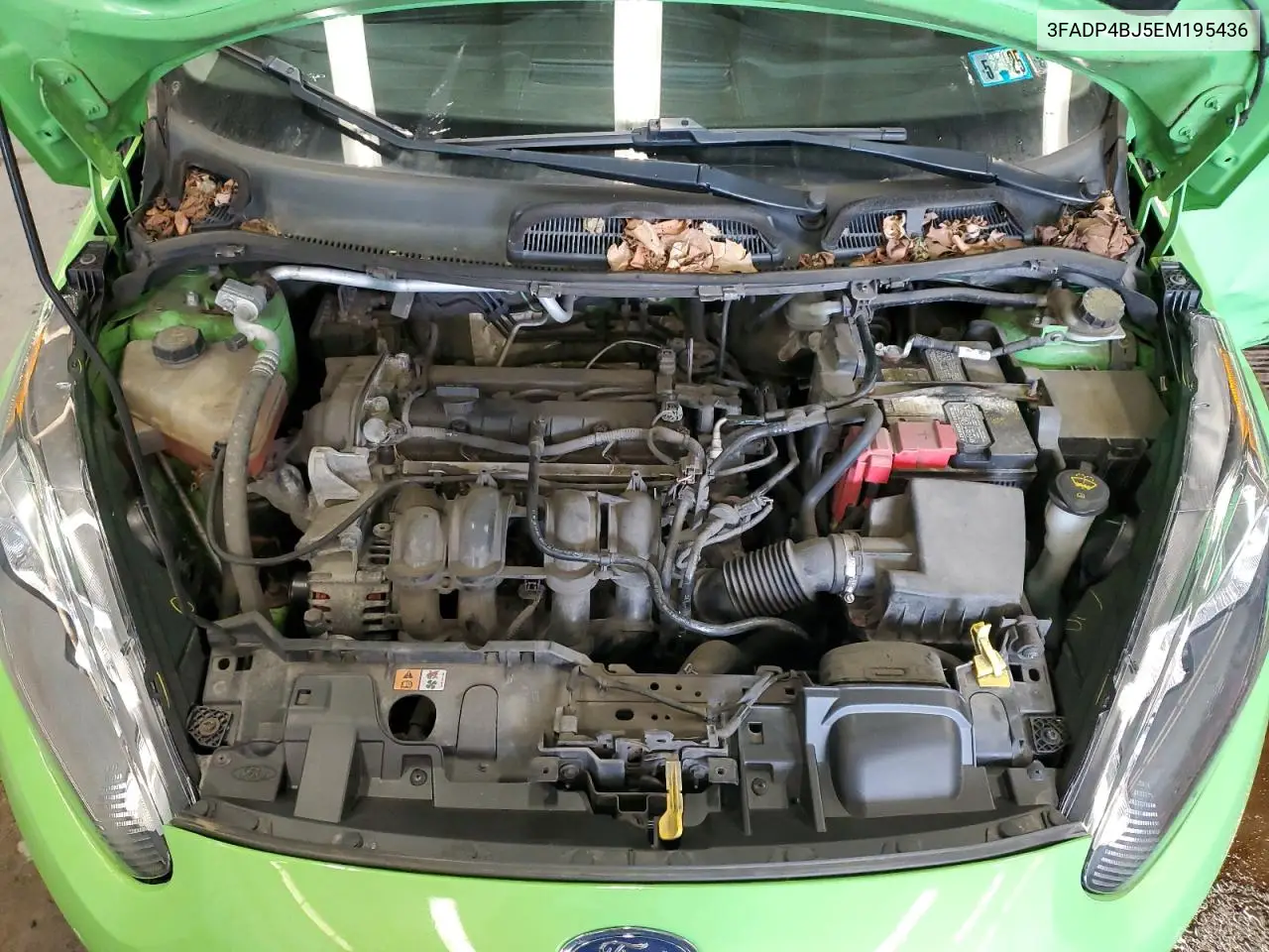 2014 Ford Fiesta Se VIN: 3FADP4BJ5EM195436 Lot: 56466015