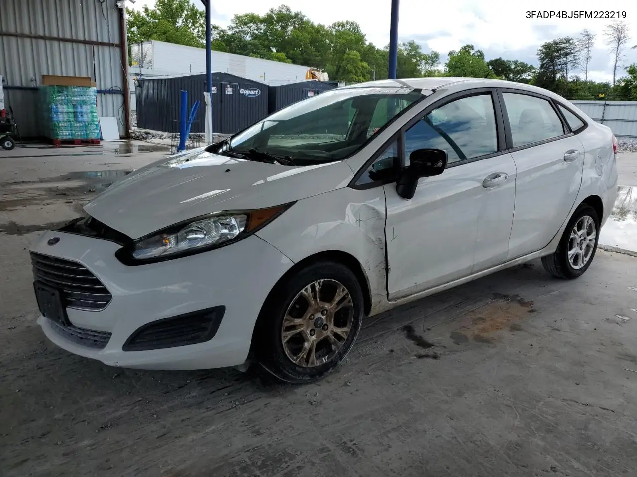 2015 Ford Fiesta Se VIN: 3FADP4BJ5FM223219 Lot: 56153805