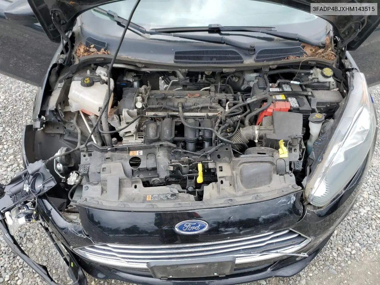 2017 Ford Fiesta Se VIN: 3FADP4BJXHM143515 Lot: 63033405