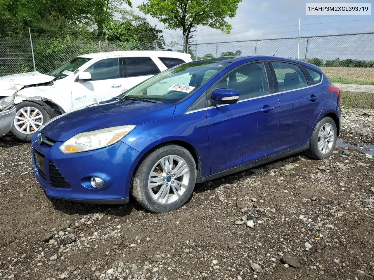 2012 Ford Focus Sel VIN: 1FAHP3M2XCL393719 Lot: 57097685