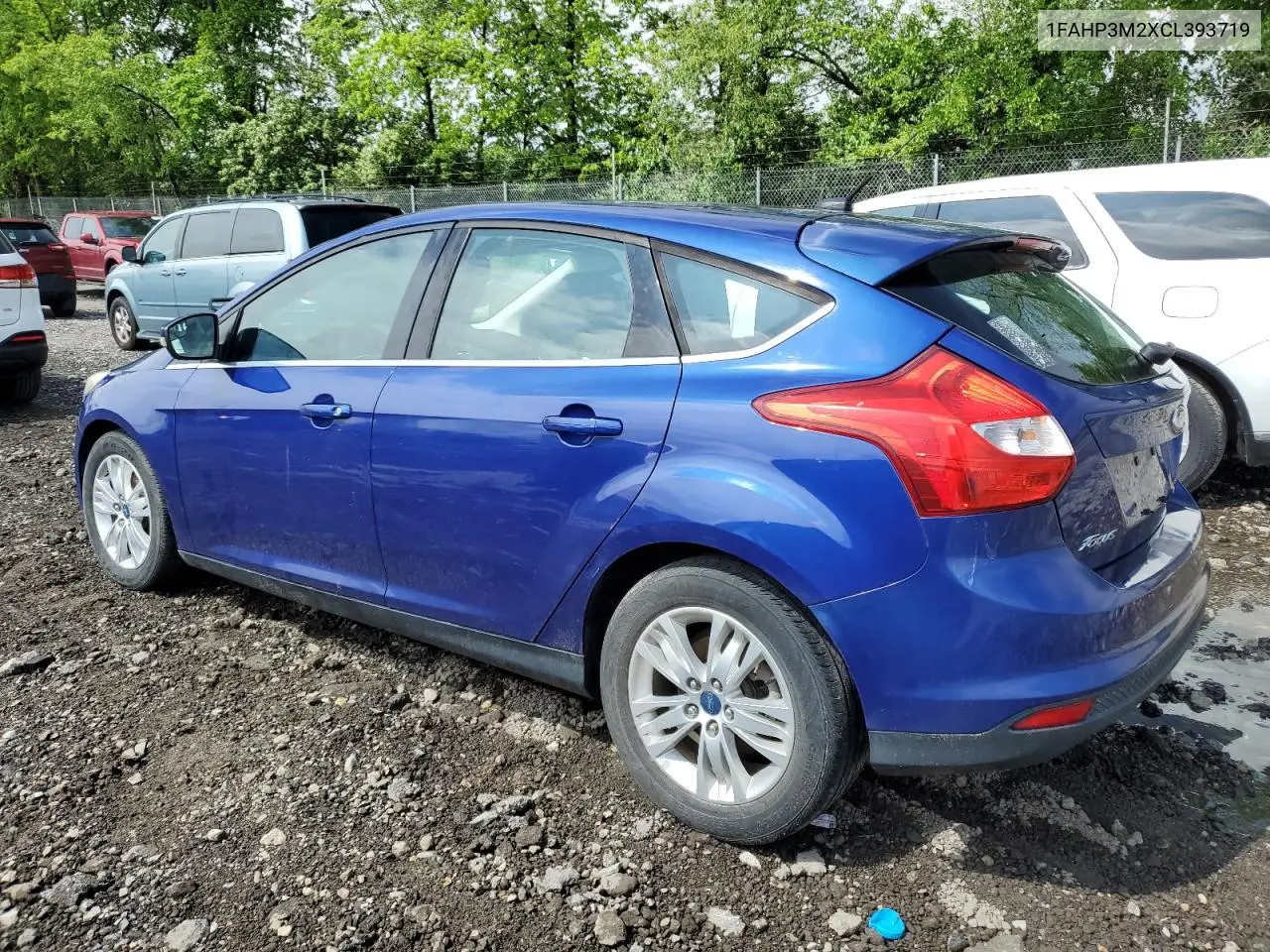 2012 Ford Focus Sel VIN: 1FAHP3M2XCL393719 Lot: 57097685