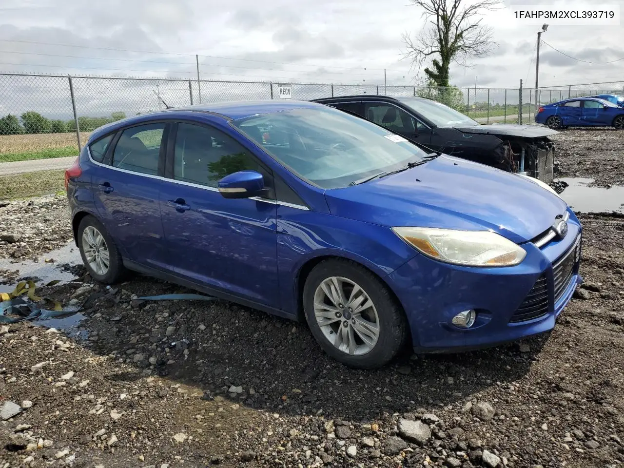 2012 Ford Focus Sel VIN: 1FAHP3M2XCL393719 Lot: 57097685