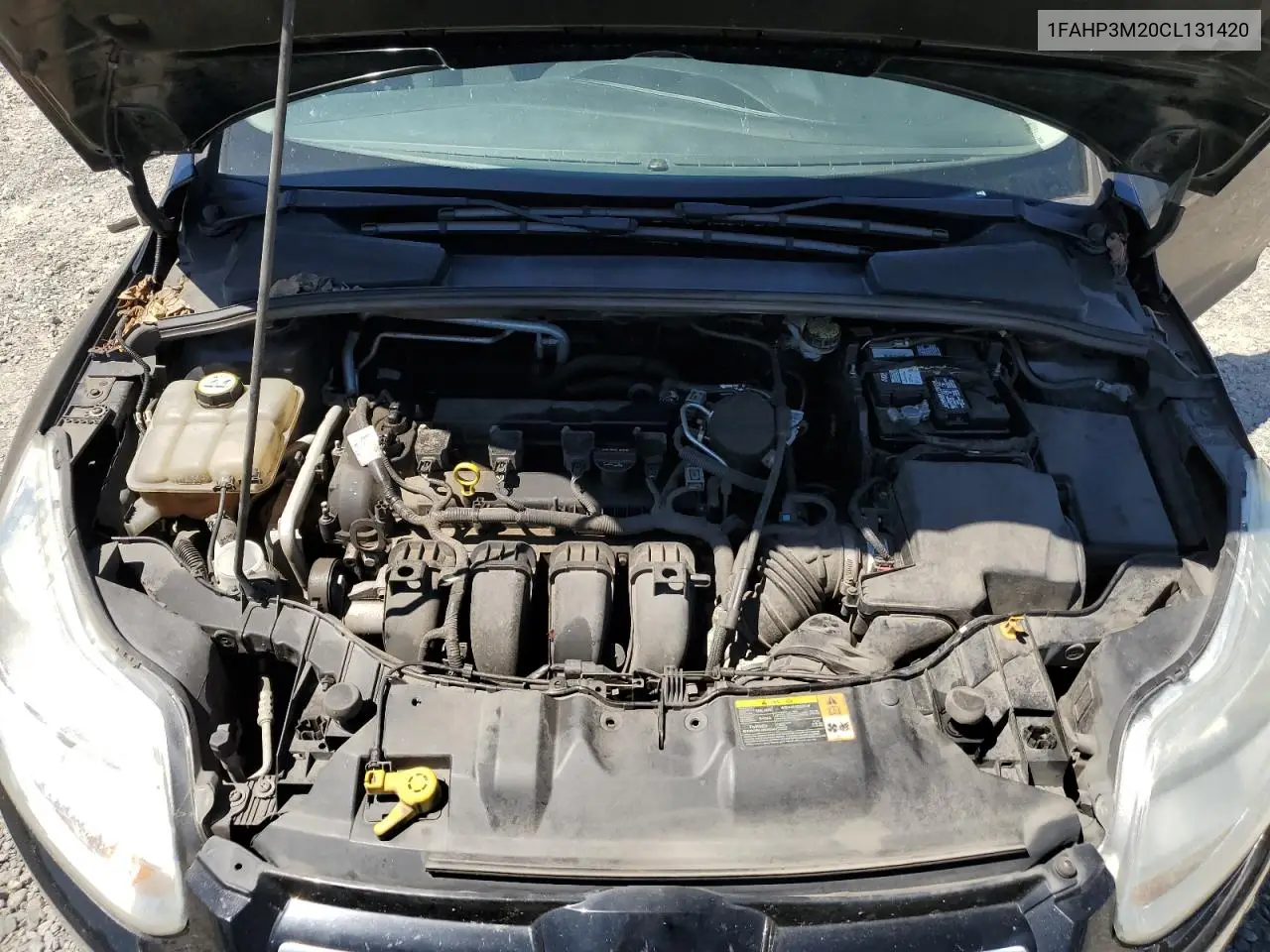 2012 Ford Focus Sel VIN: 1FAHP3M20CL131420 Lot: 62907375