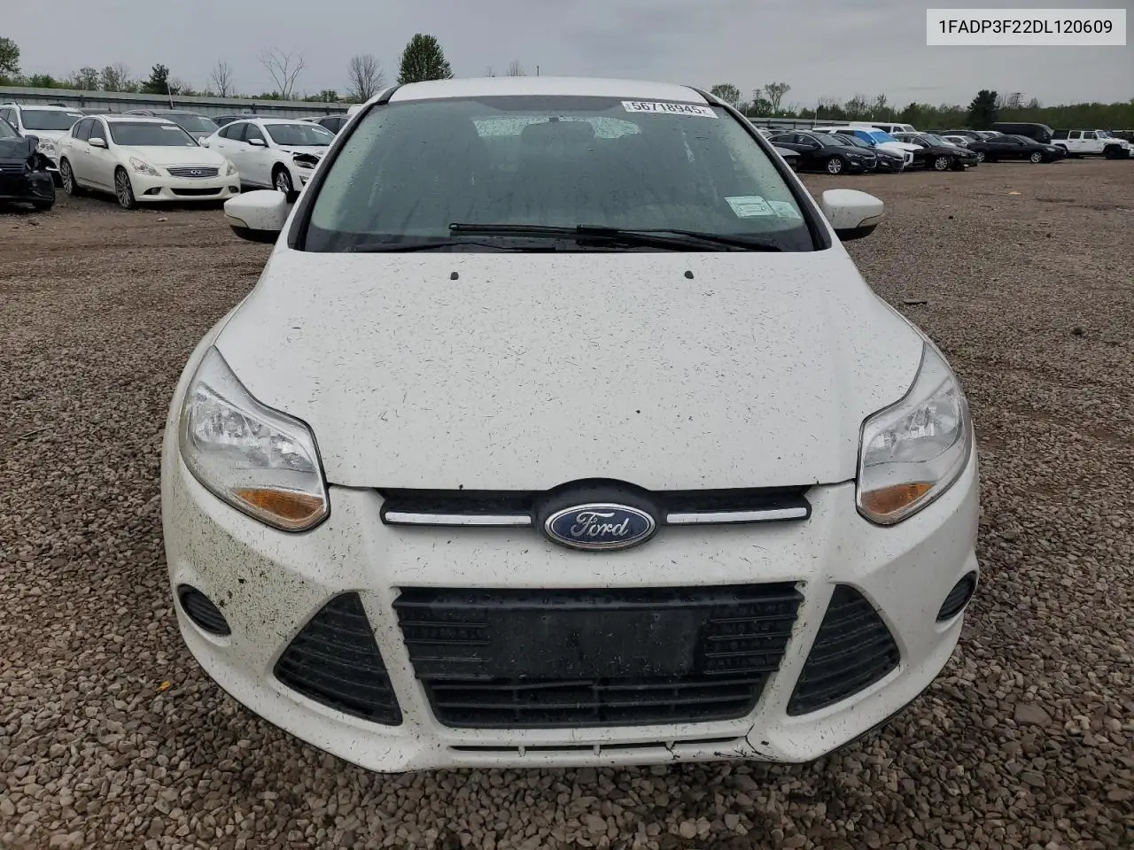 2013 Ford Focus Se VIN: 1FADP3F22DL120609 Lot: 56718945