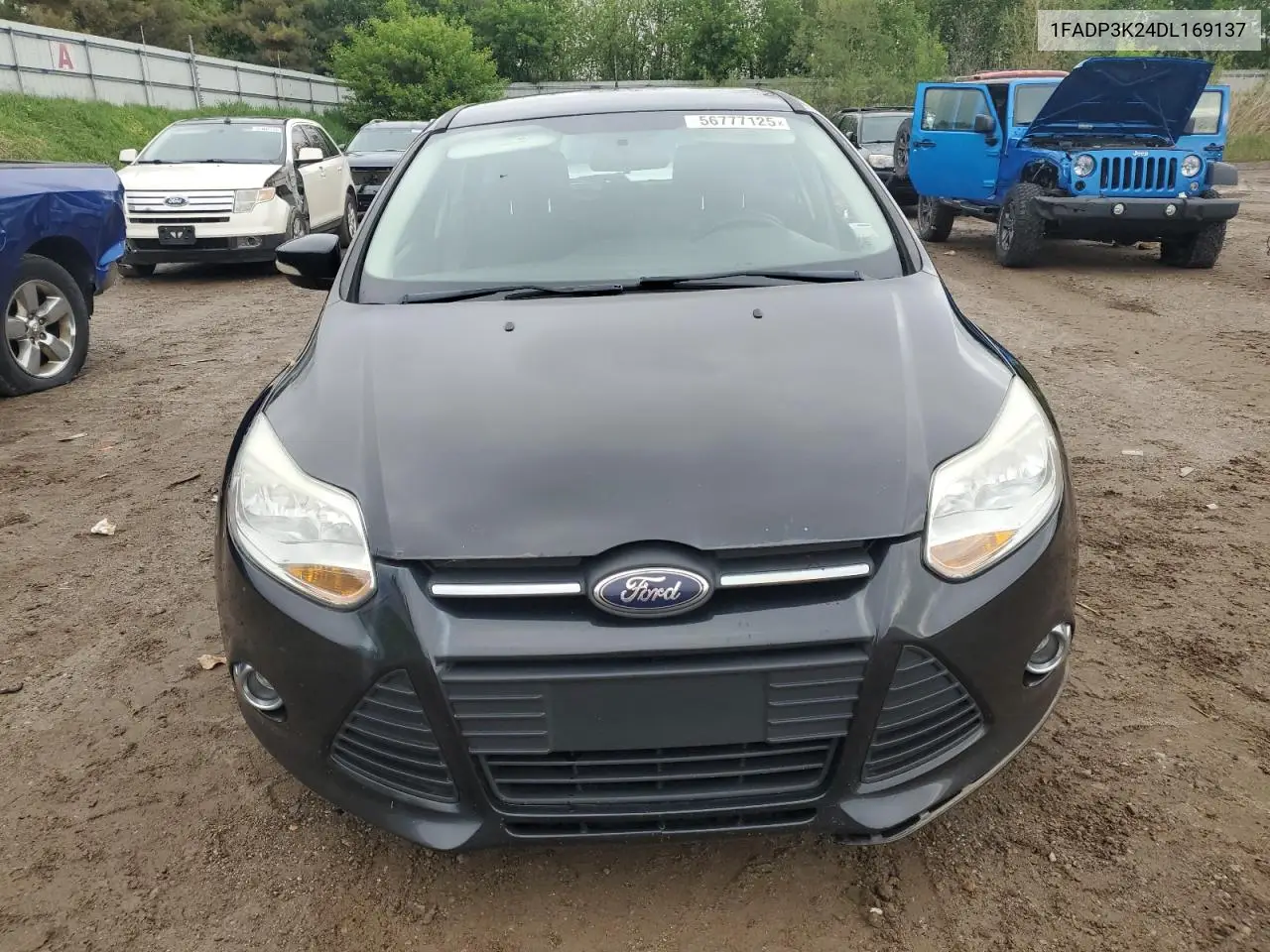 2013 Ford Focus Se VIN: 1FADP3K24DL169137 Lot: 56777125