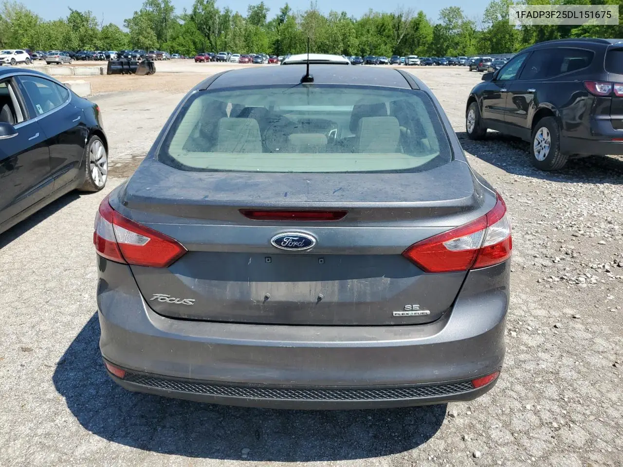 2013 Ford Focus Se VIN: 1FADP3F25DL151675 Lot: 56904195
