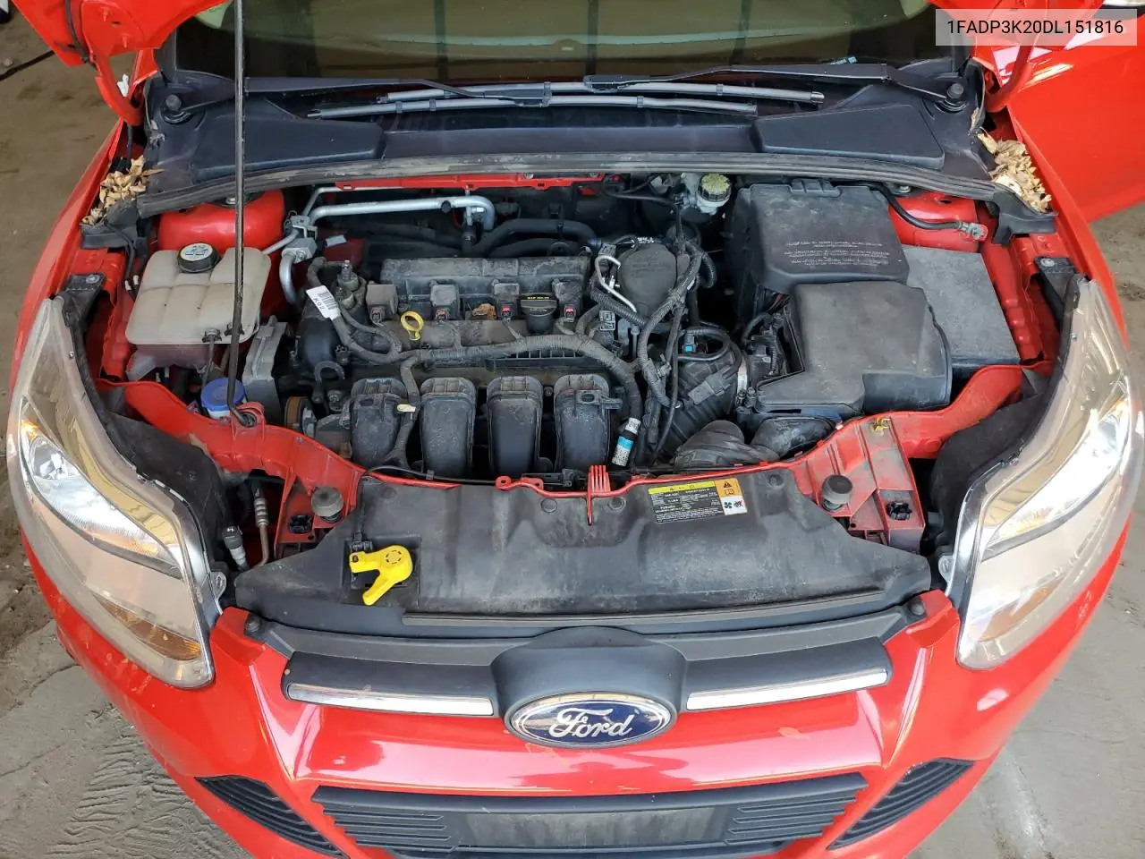 2013 Ford Focus Se VIN: 1FADP3K20DL151816 Lot: 56996545