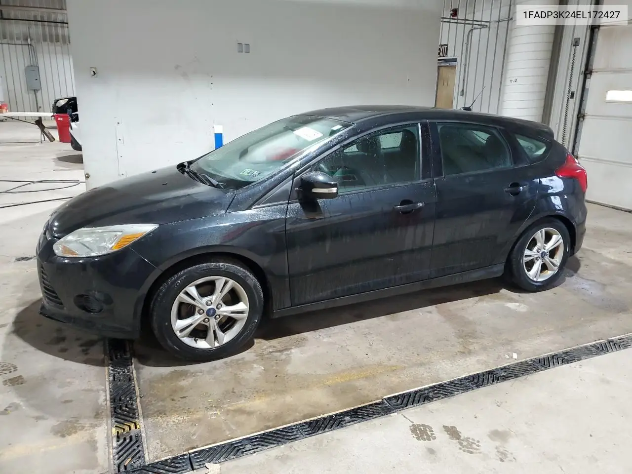 2014 Ford Focus Se VIN: 1FADP3K24EL172427 Lot: 56712205