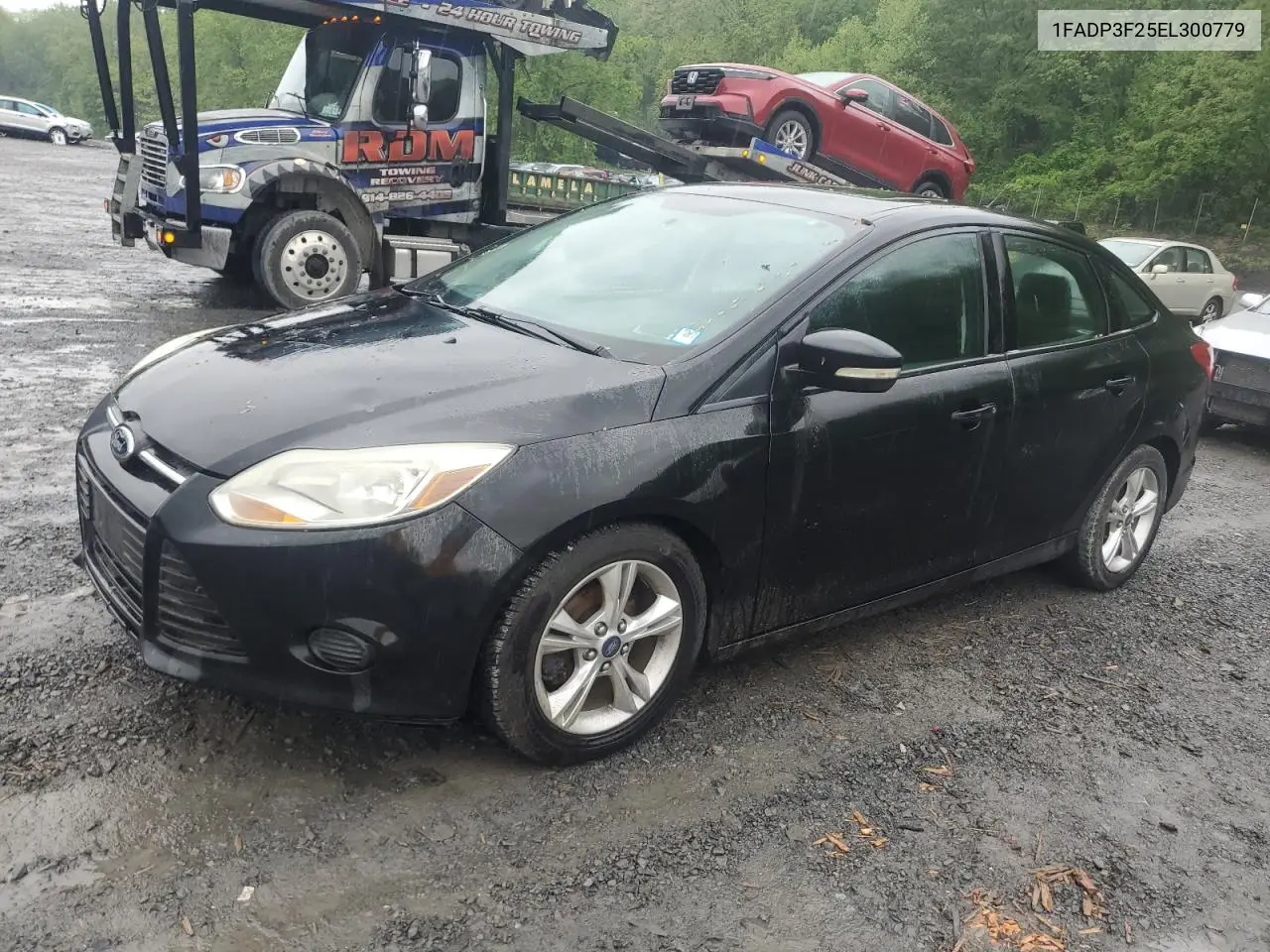 2014 Ford Focus Se VIN: 1FADP3F25EL300779 Lot: 56763655