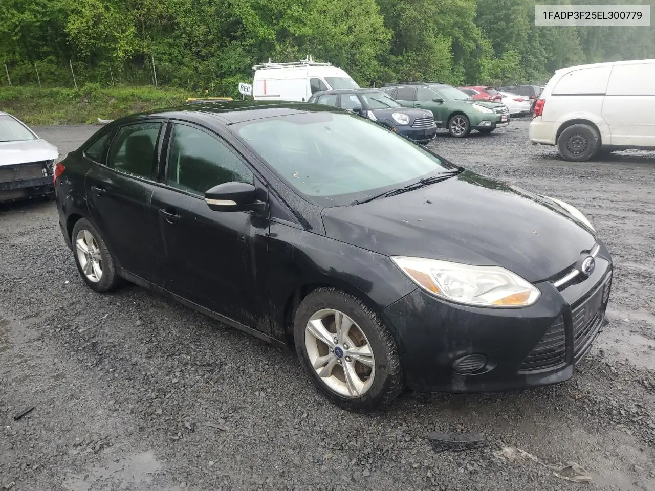 2014 Ford Focus Se VIN: 1FADP3F25EL300779 Lot: 56763655