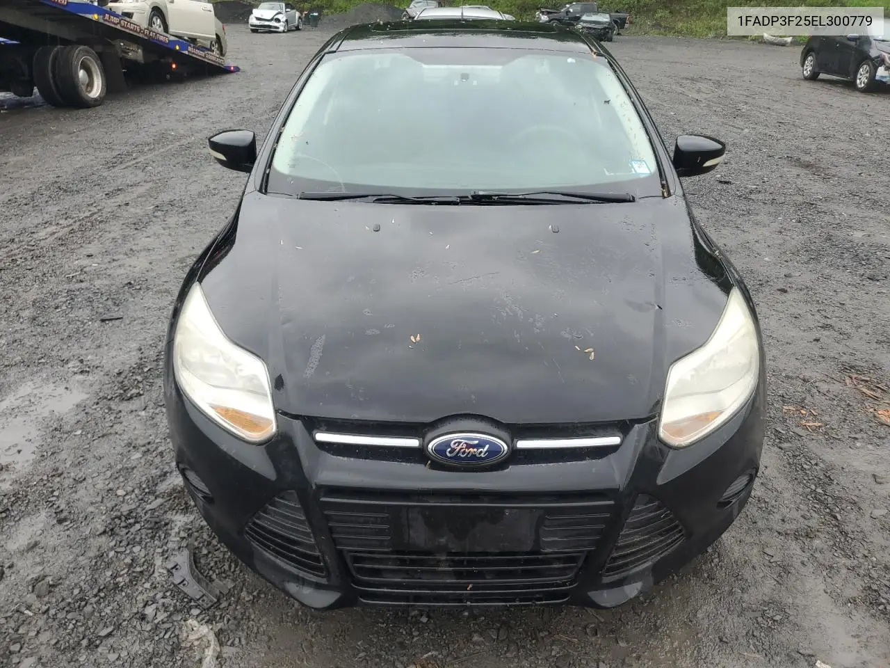 2014 Ford Focus Se VIN: 1FADP3F25EL300779 Lot: 56763655