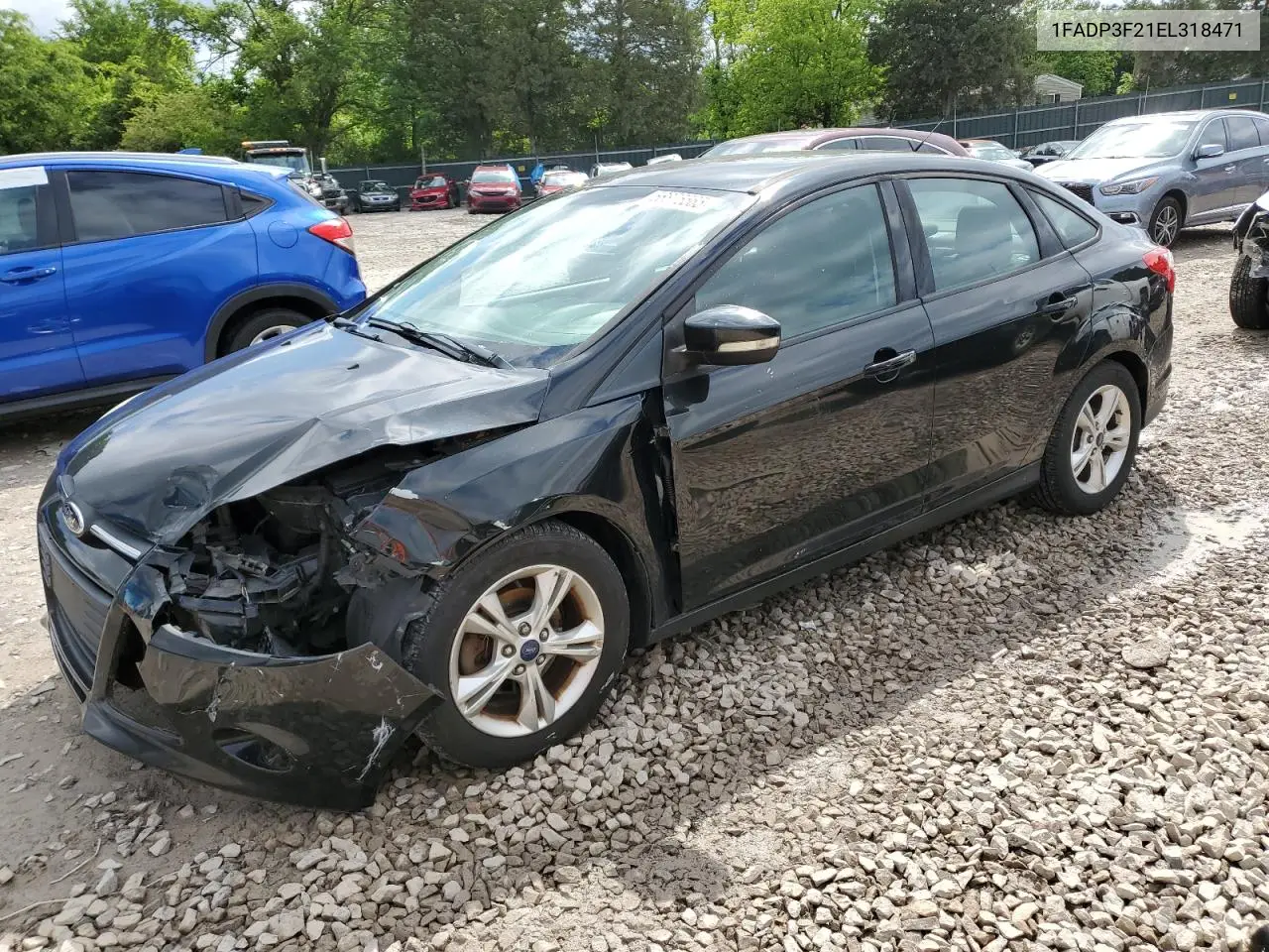 2014 Ford Focus Se VIN: 1FADP3F21EL318471 Lot: 56875565