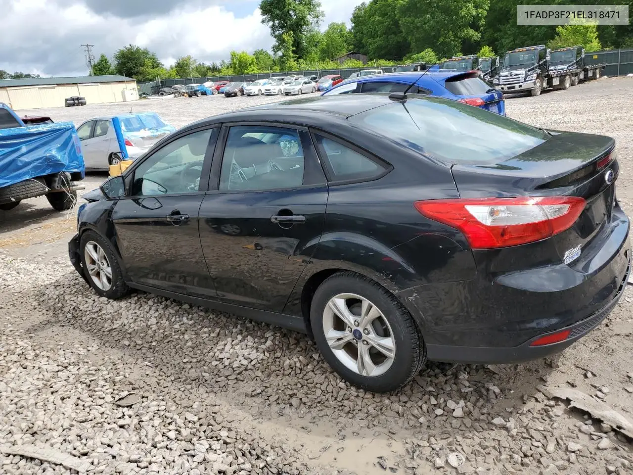2014 Ford Focus Se VIN: 1FADP3F21EL318471 Lot: 56875565