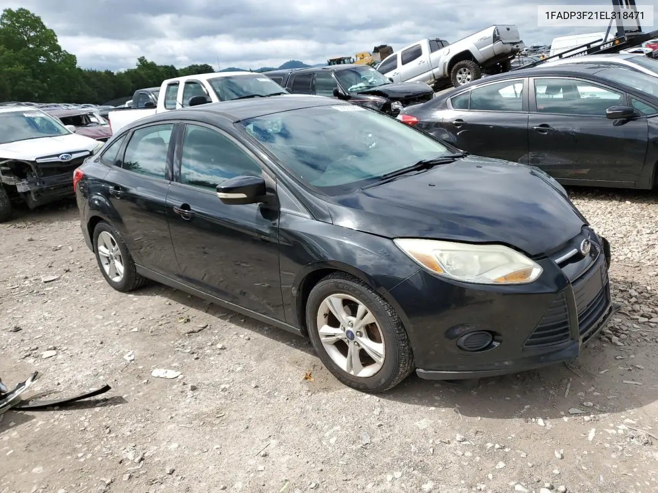 2014 Ford Focus Se VIN: 1FADP3F21EL318471 Lot: 56875565