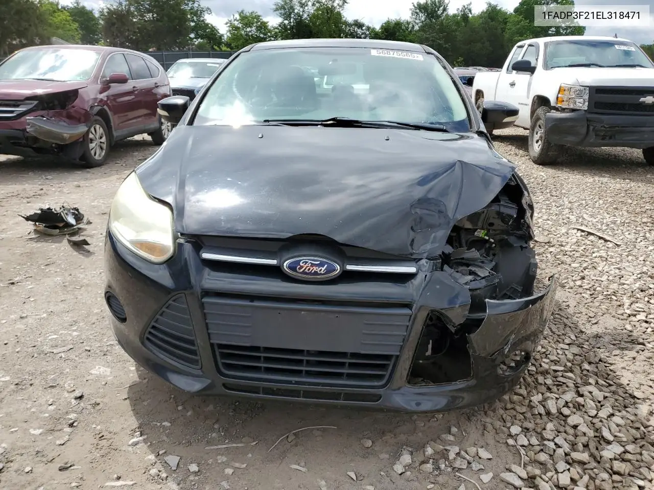 2014 Ford Focus Se VIN: 1FADP3F21EL318471 Lot: 56875565