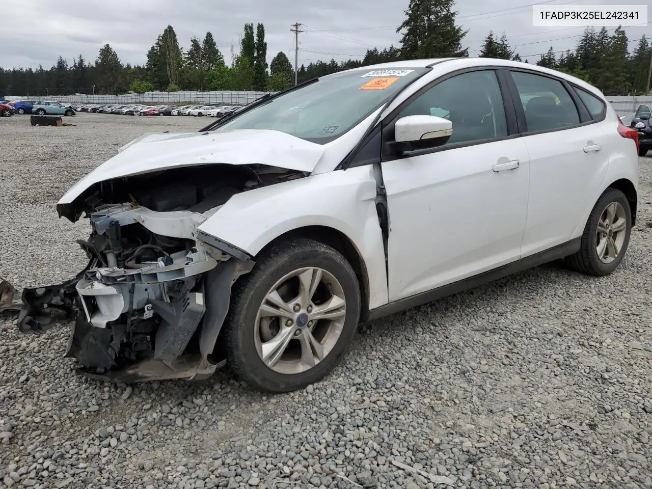 2014 Ford Focus Se VIN: 1FADP3K25EL242341 Lot: 56891575