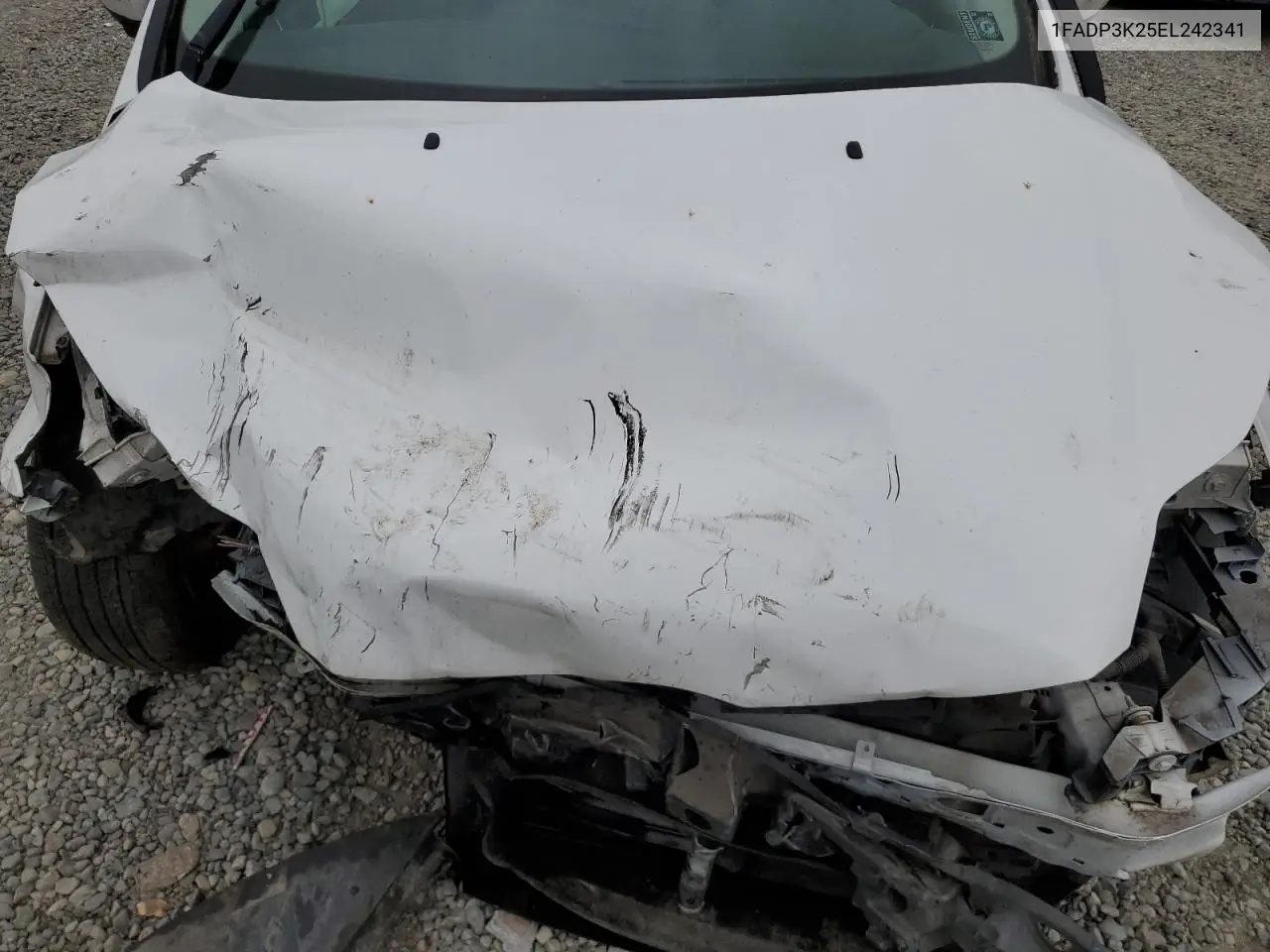2014 Ford Focus Se VIN: 1FADP3K25EL242341 Lot: 56891575