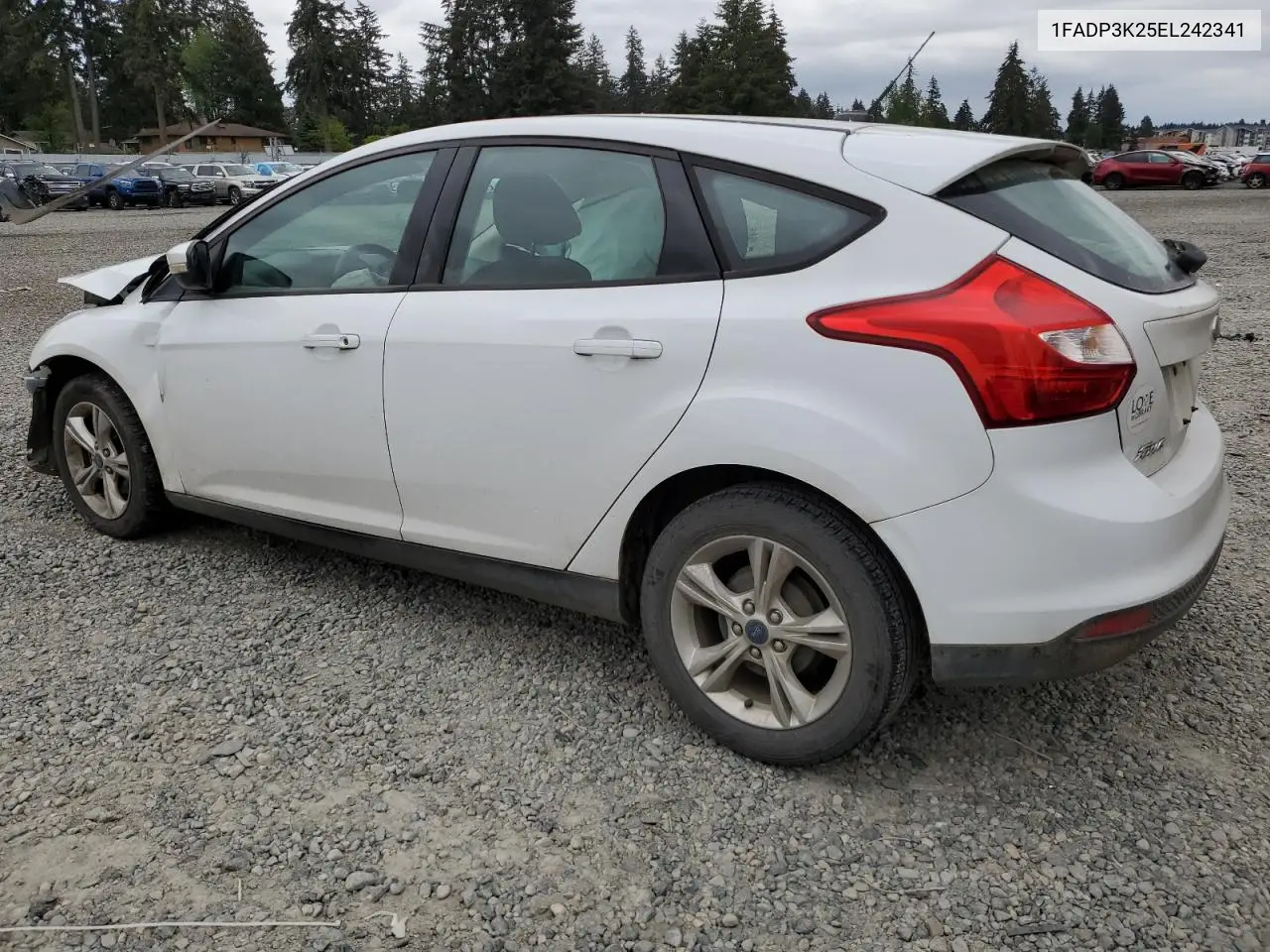 2014 Ford Focus Se VIN: 1FADP3K25EL242341 Lot: 56891575