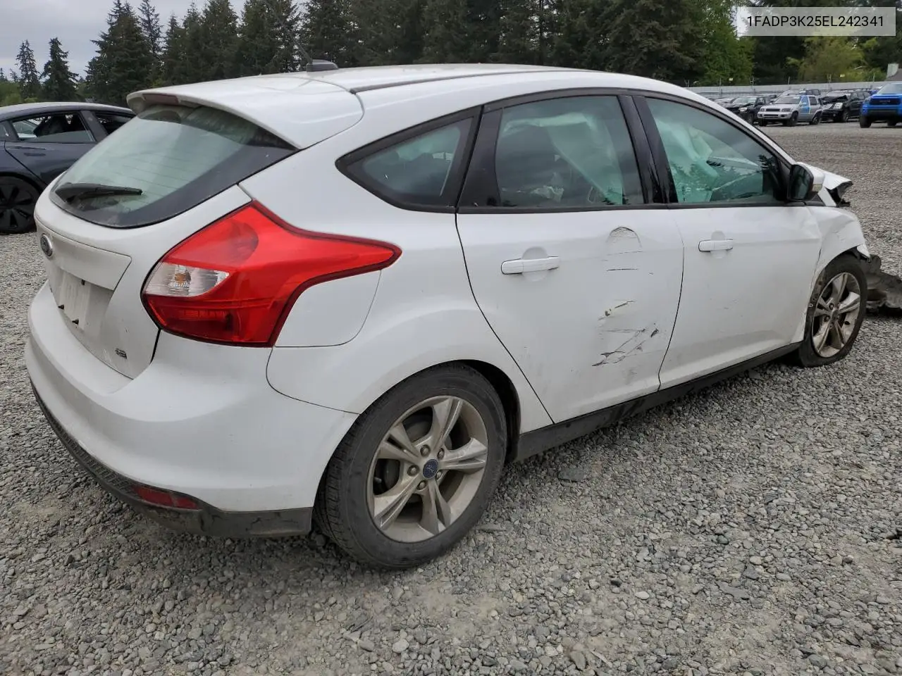 2014 Ford Focus Se VIN: 1FADP3K25EL242341 Lot: 56891575