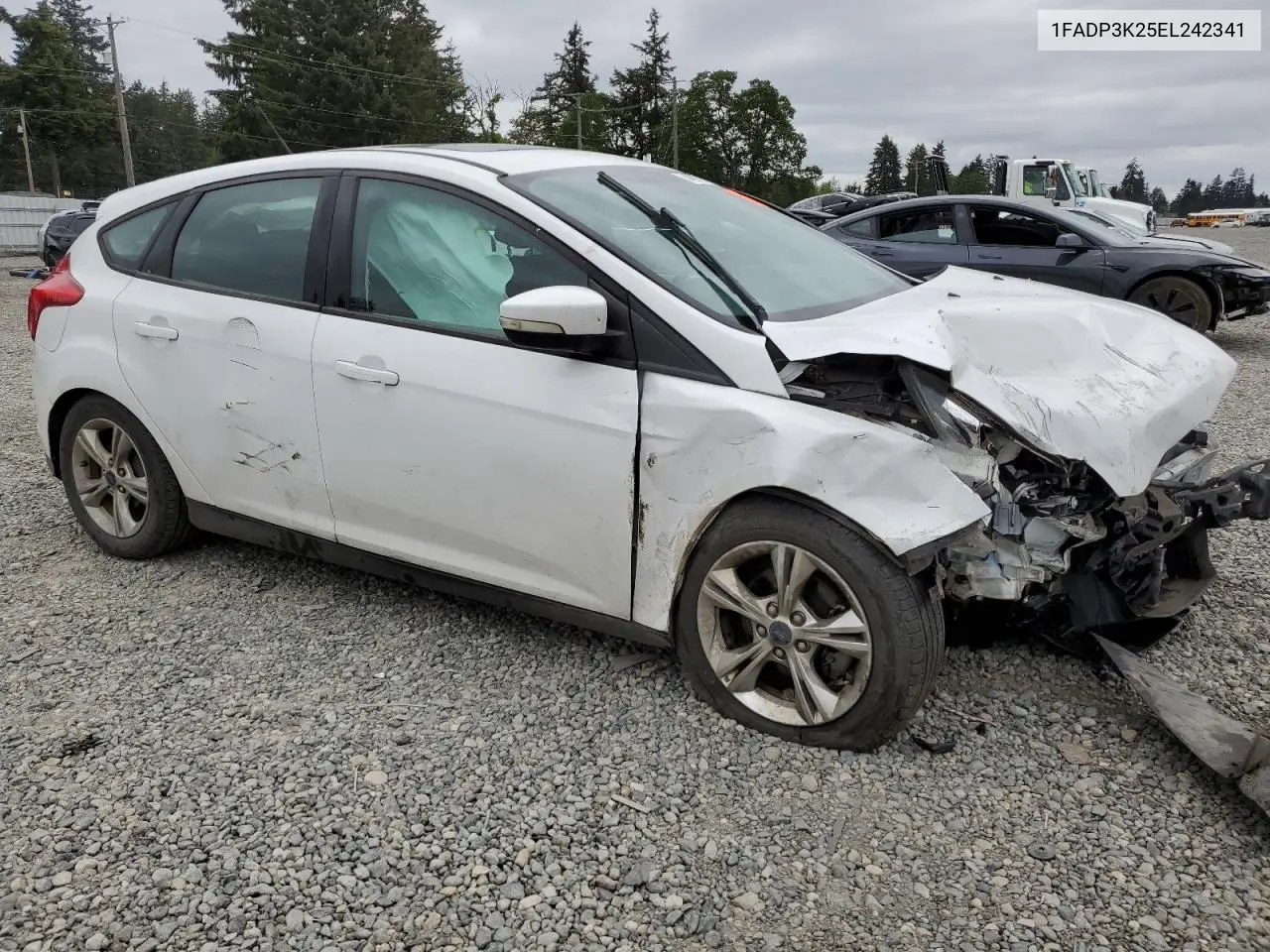 2014 Ford Focus Se VIN: 1FADP3K25EL242341 Lot: 56891575