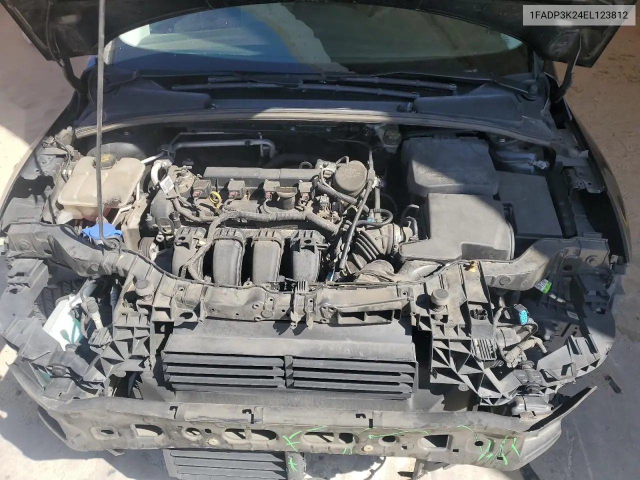2014 Ford Focus Se VIN: 1FADP3K24EL123812 Lot: 57084025