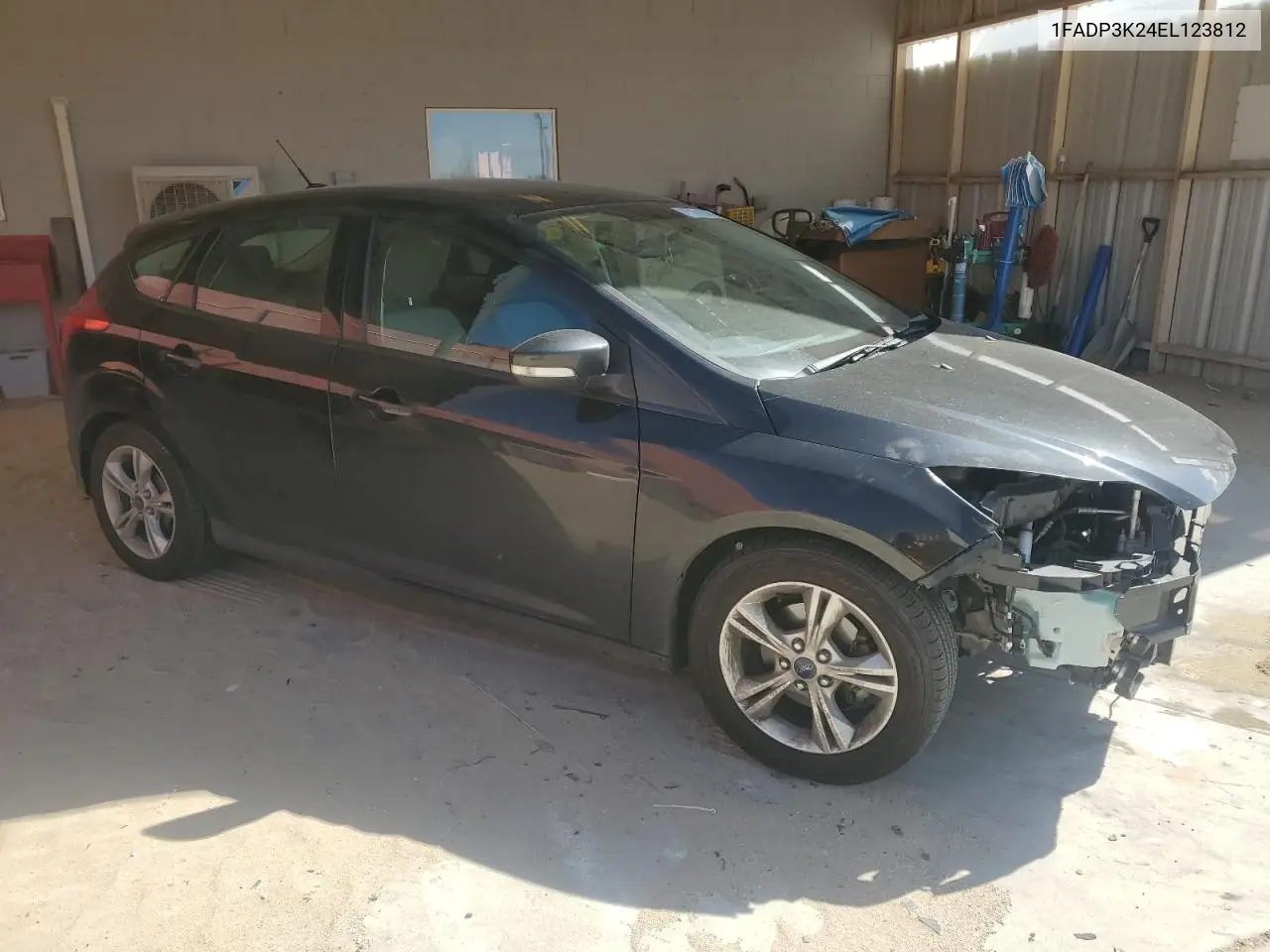 2014 Ford Focus Se VIN: 1FADP3K24EL123812 Lot: 57084025