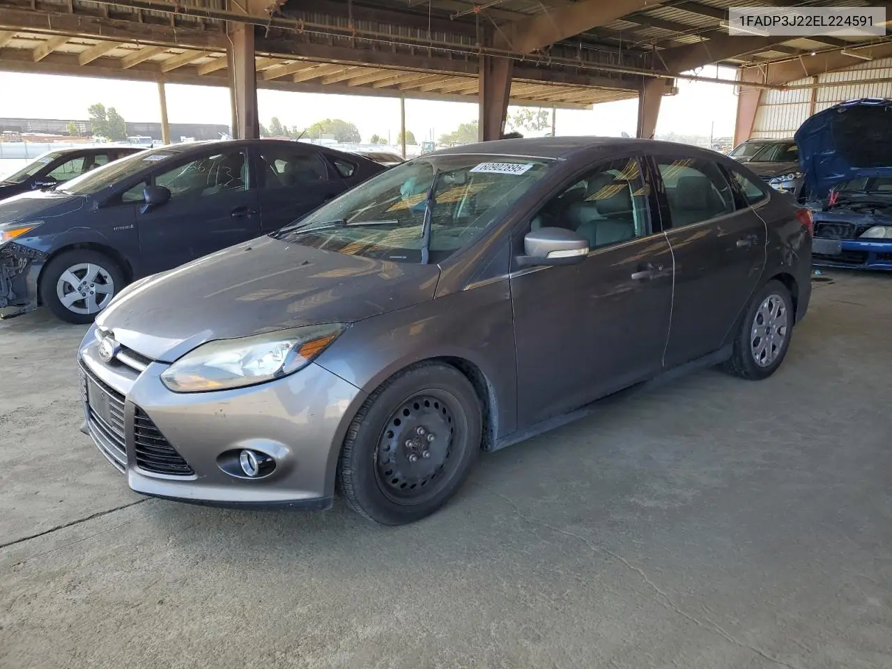 2014 Ford Focus Titanium VIN: 1FADP3J22EL224591 Lot: 60902895