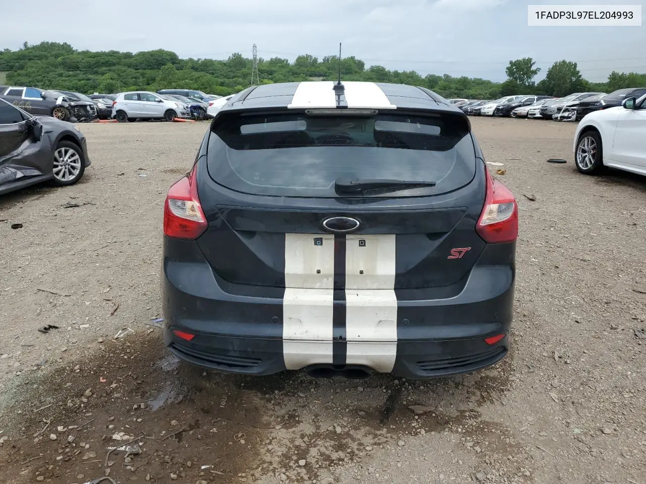 2014 Ford Focus St VIN: 1FADP3L97EL204993 Lot: 61354065