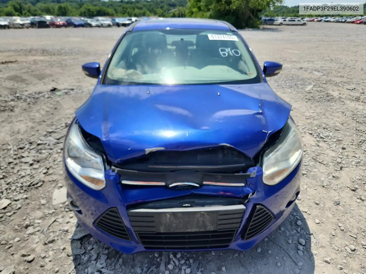 2014 Ford Focus Se VIN: 1FADP3F29EL390602 Lot: 61374105