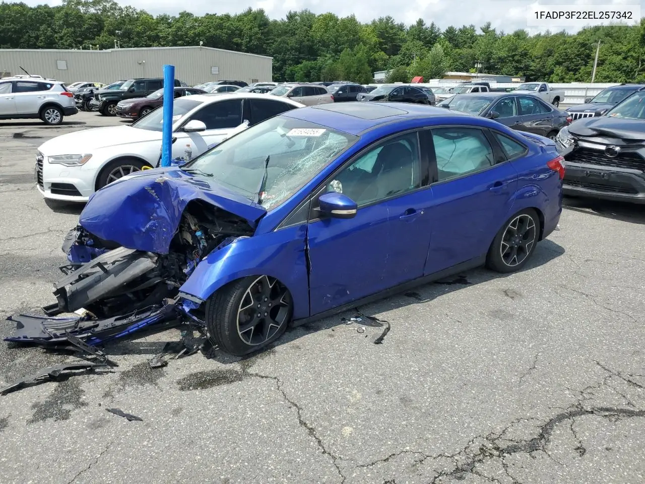 2014 Ford Focus Se VIN: 1FADP3F22EL257342 Lot: 61634055
