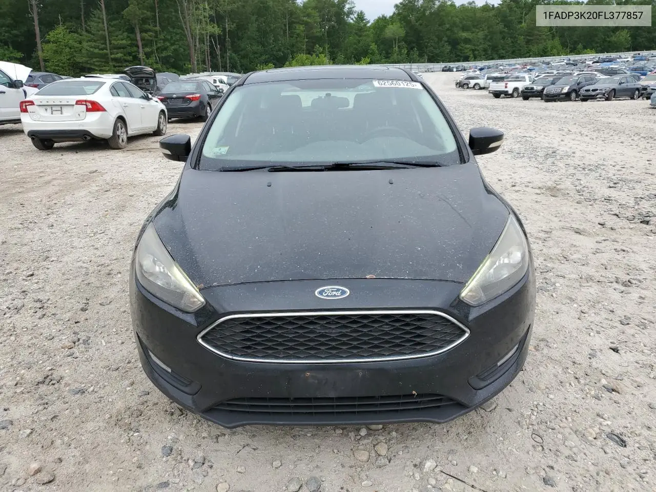 2015 Ford Focus Se VIN: 1FADP3K20FL377857 Lot: 62560125