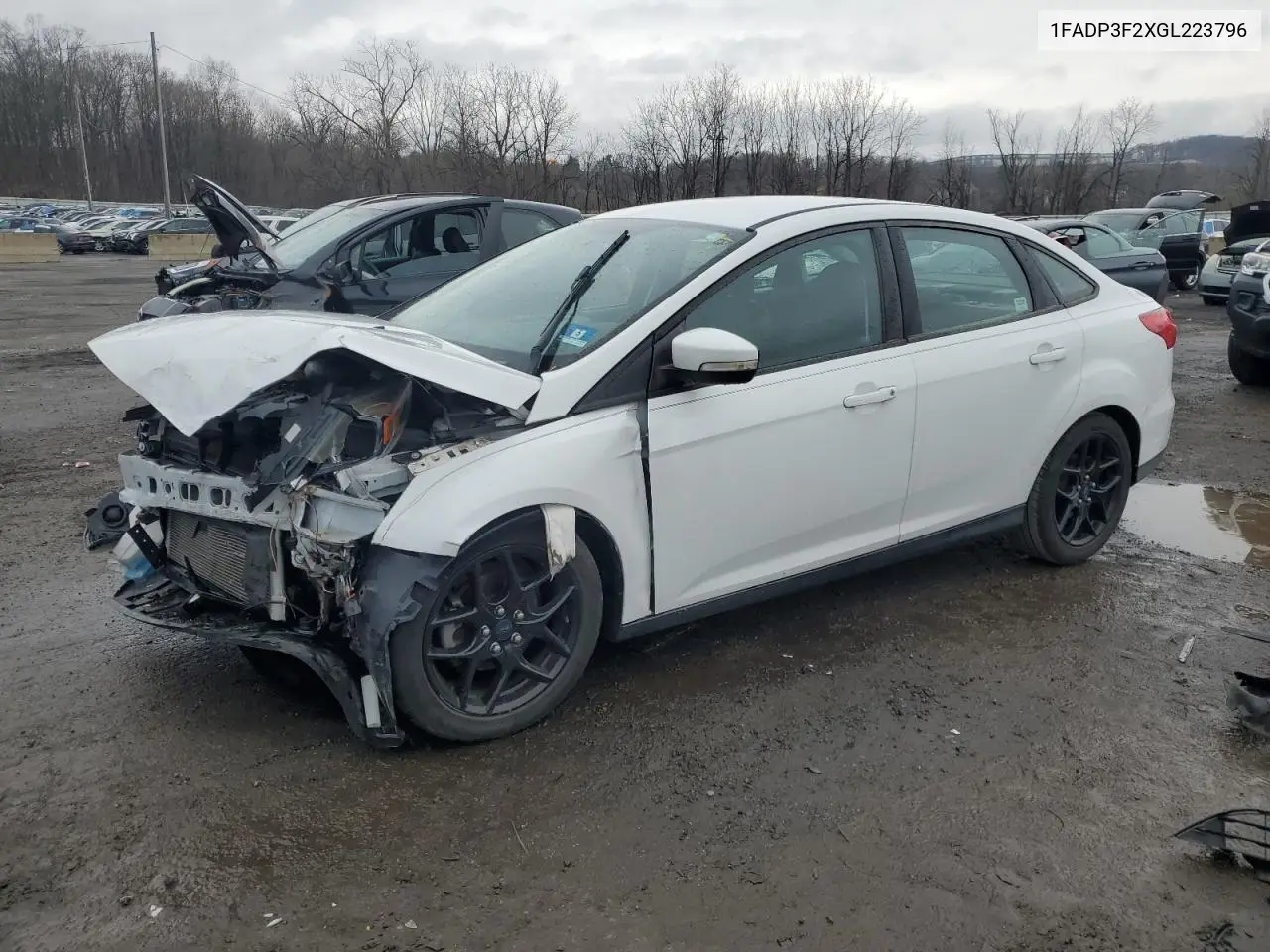 2016 Ford Focus Se VIN: 1FADP3F2XGL223796 Lot: 52567505