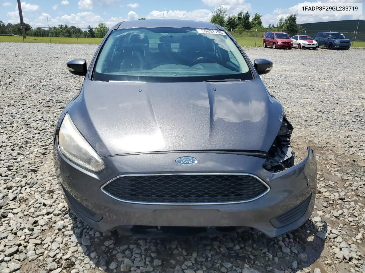 2016 Ford Focus Se VIN: 1FADP3F29GL233719 Lot: 56857705