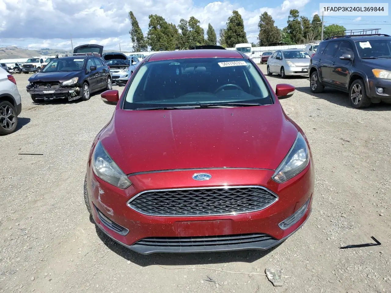 2016 Ford Focus Se VIN: 1FADP3K24GL369844 Lot: 56978635
