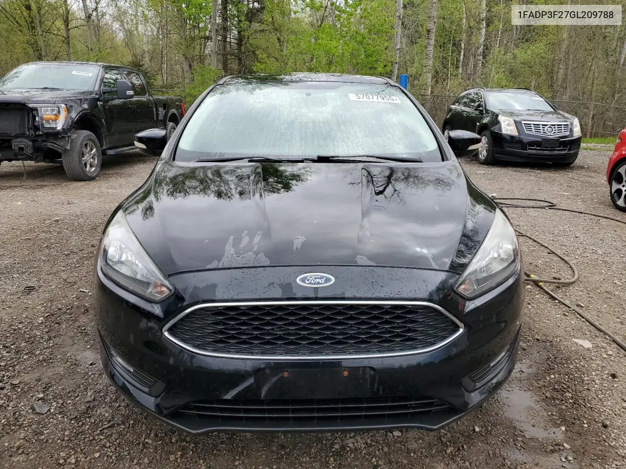 2016 Ford Focus Se VIN: 1FADP3F27GL209788 Lot: 57077955