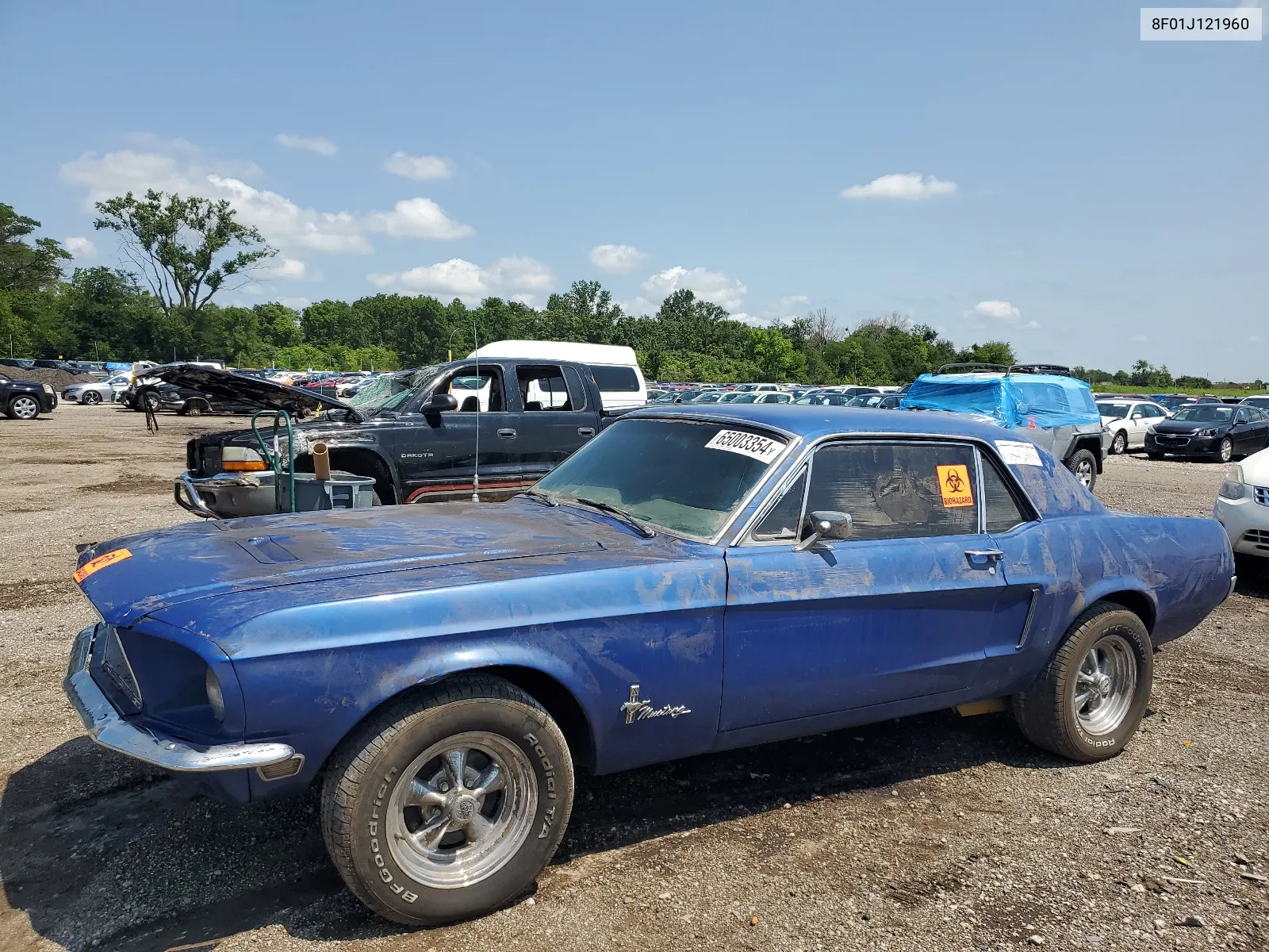 1969 Ford Must VIN: 8F01J121960 Lot: 65003354