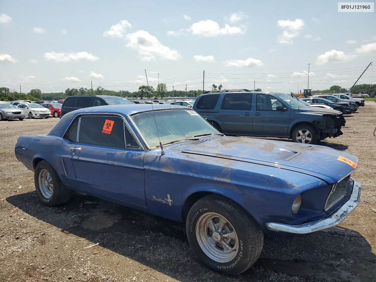 1969 Ford Must VIN: 8F01J121960 Lot: 65003354