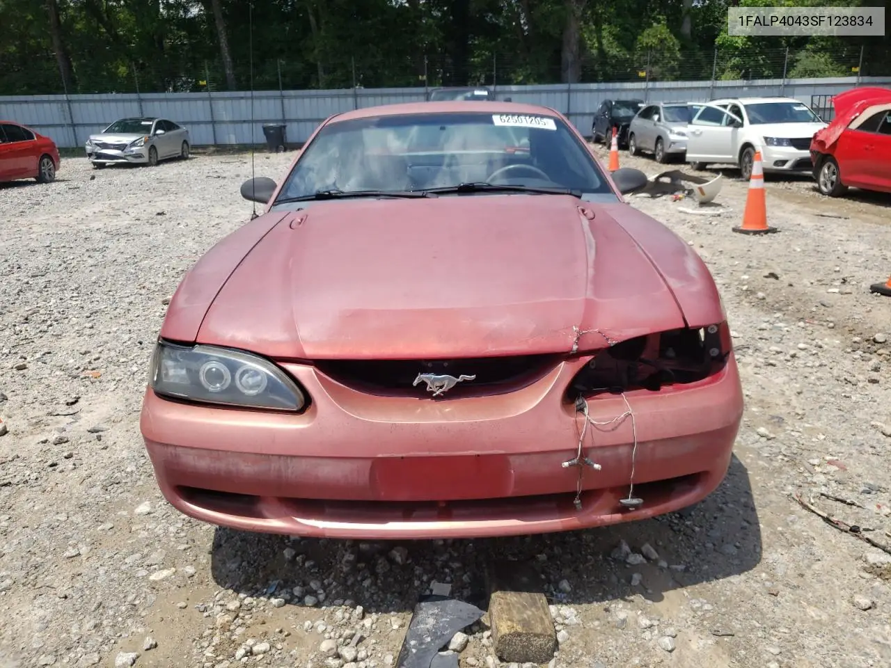 1995 Ford Mustang VIN: 1FALP4043SF123834 Lot: 62501205
