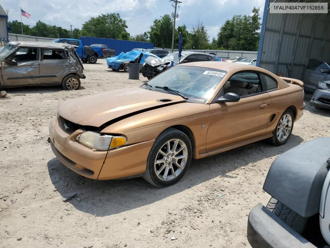 1997 Ford Mustang VIN: 1FALP4047VF152855 Lot: 62348185