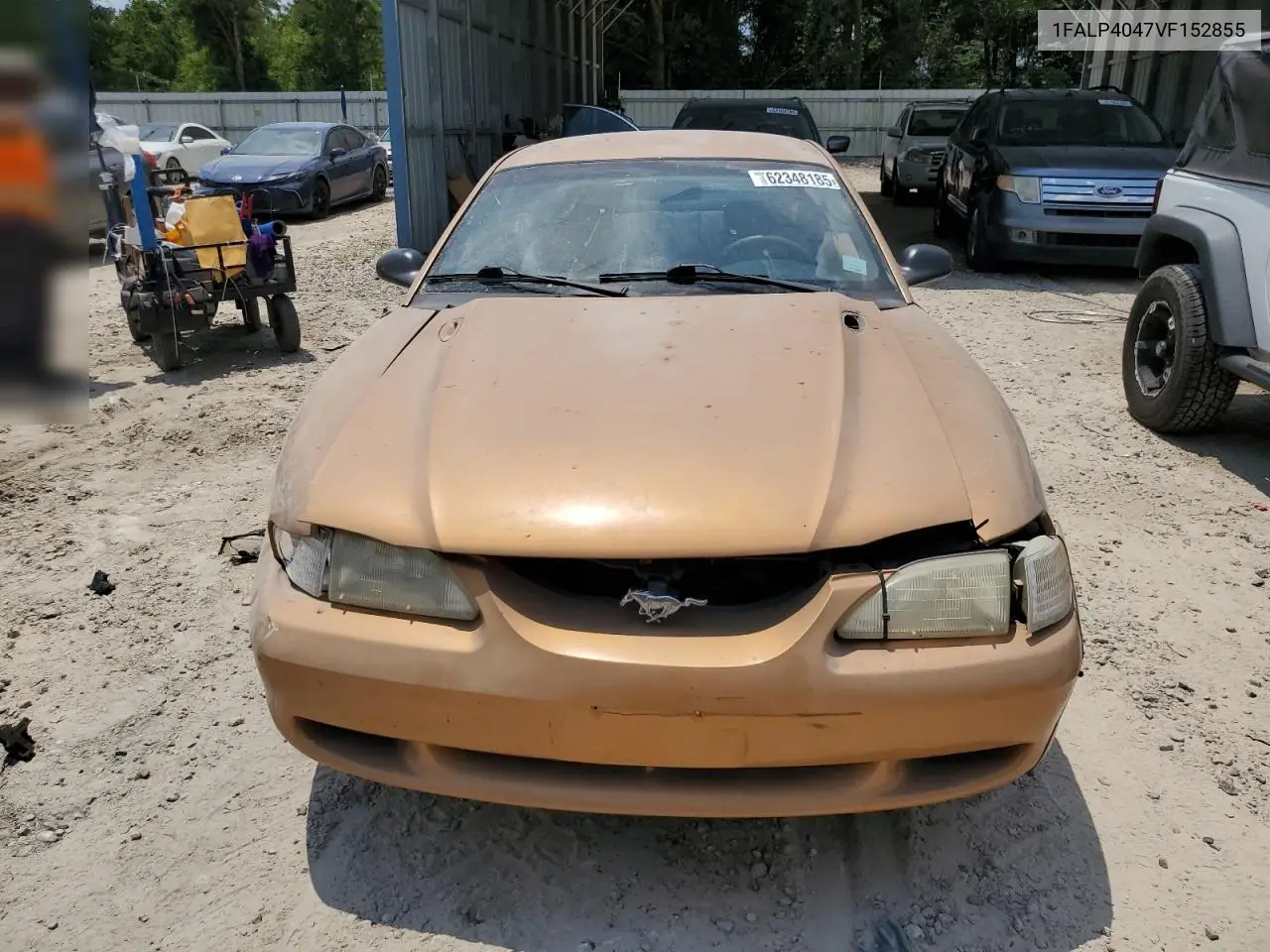 1997 Ford Mustang VIN: 1FALP4047VF152855 Lot: 62348185