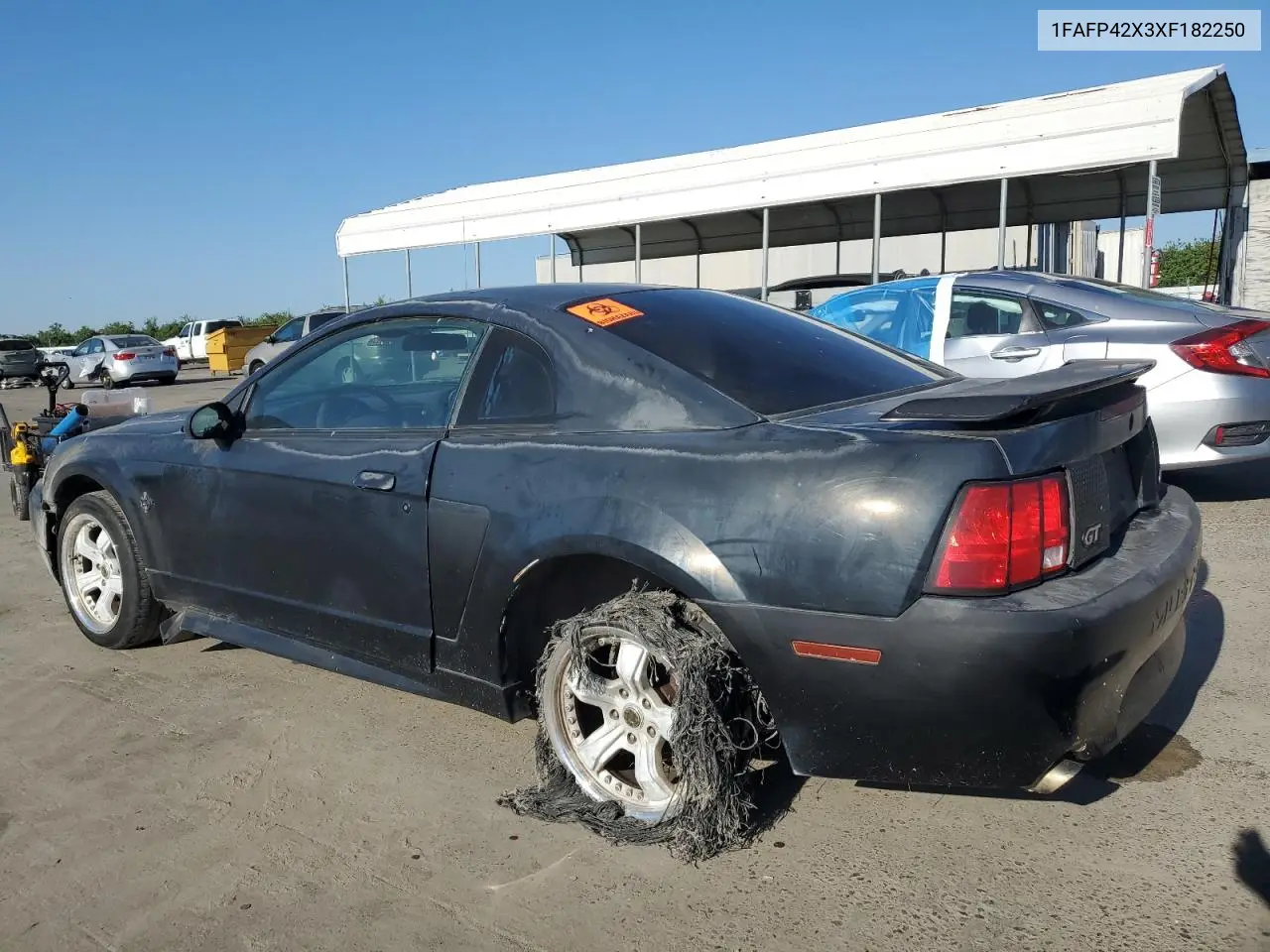 1999 Ford Mustang Gt VIN: 1FAFP42X3XF182250 Lot: 55876905
