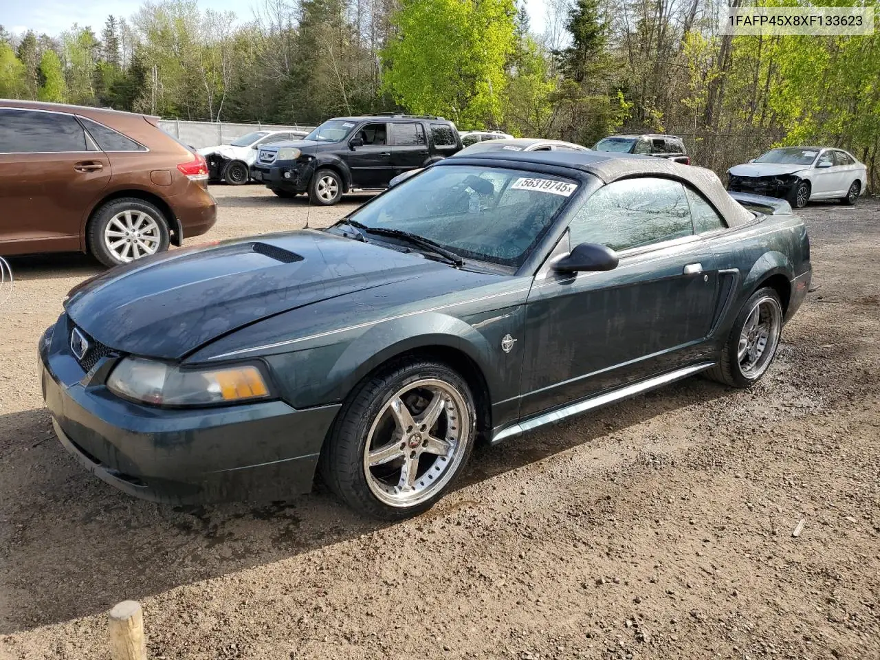 1999 Ford Mustang Gt VIN: 1FAFP45X8XF133623 Lot: 56319745