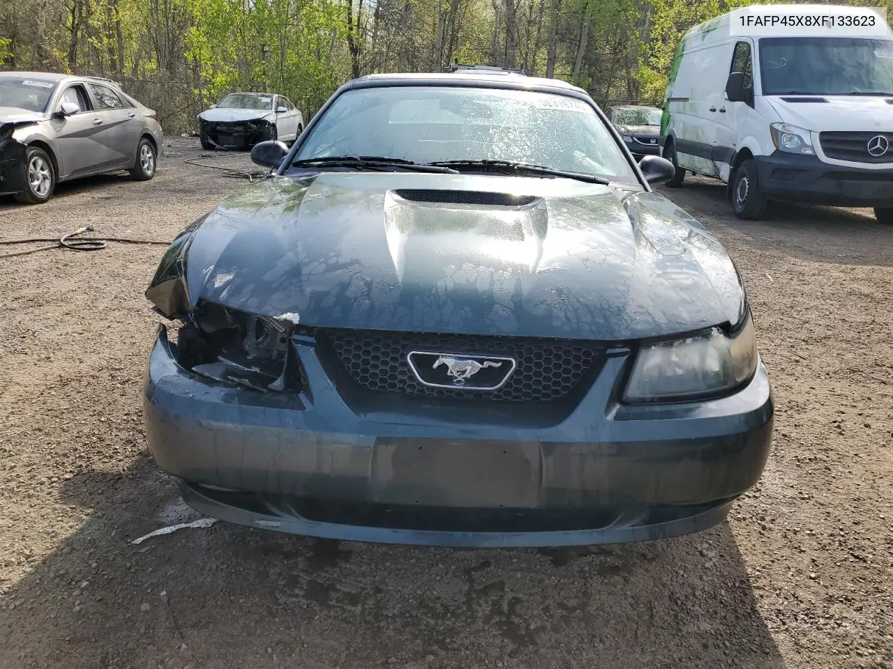 1999 Ford Mustang Gt VIN: 1FAFP45X8XF133623 Lot: 56319745