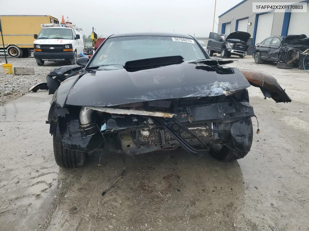 1999 Ford Mustang Gt VIN: 1FAFP42X2XF170803 Lot: 56756075